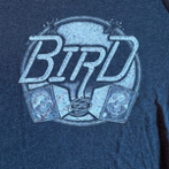 Andrew Bird T Shirt - Picture 2 of 2